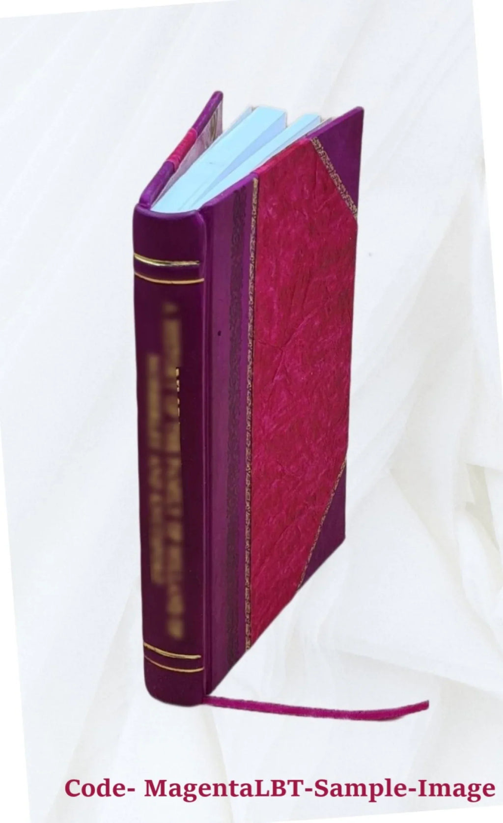 Lucae Paeti iurisconsul. De mensuris, et ponderibus Romanis, et Graecis, cum his quae hodie Romae sunt collatis libri quinque. Eiusdem variarum lectionum liber vnus .. 1573 [Leathe