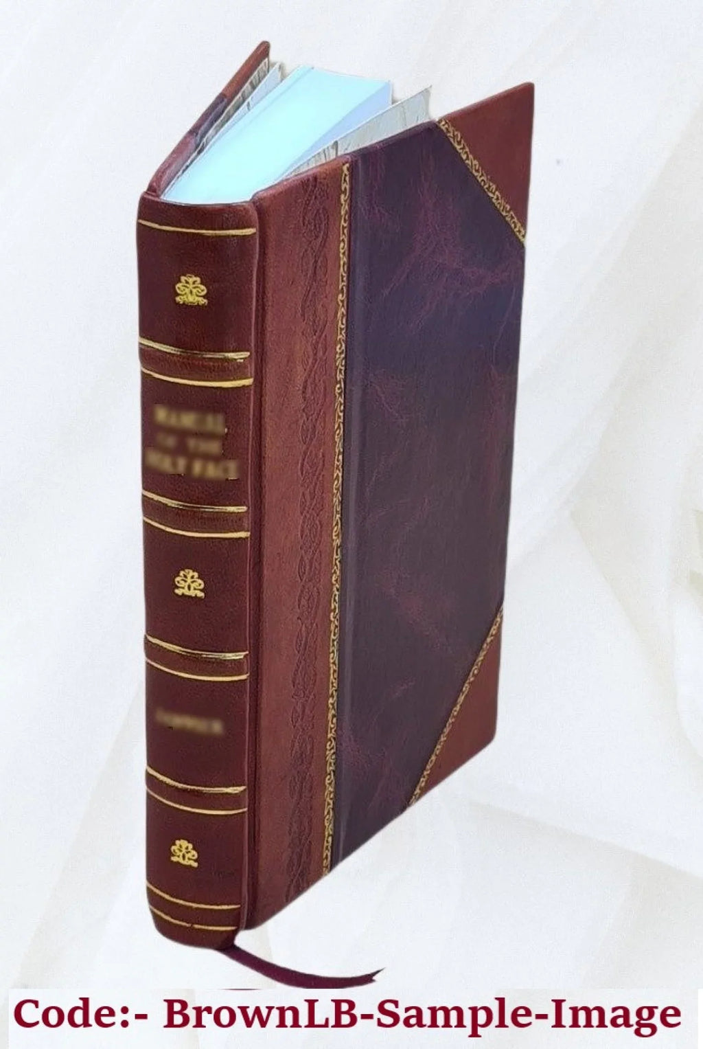 Le pêcheur d'ombres. 1926 [Leather Bound]