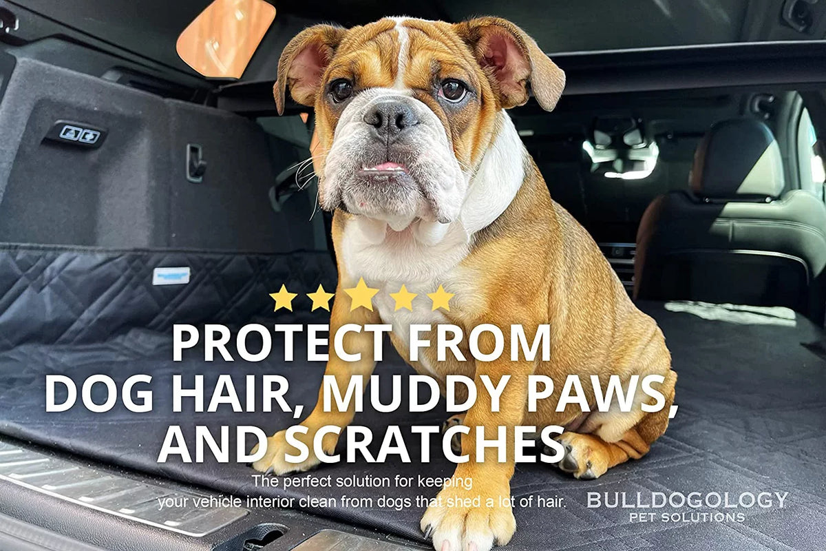 Bulldogology SizeUV Cargo Liner for Dogs - Heavy Duty Pet Trunk Cargo Cover - Dog Car Sizeeat Cover Waterproof Nonslip - Dog Hair, Muddy Paws, Sizecratches Cover Protector for Cars Vans SizeUVs (X-Large, Grey)