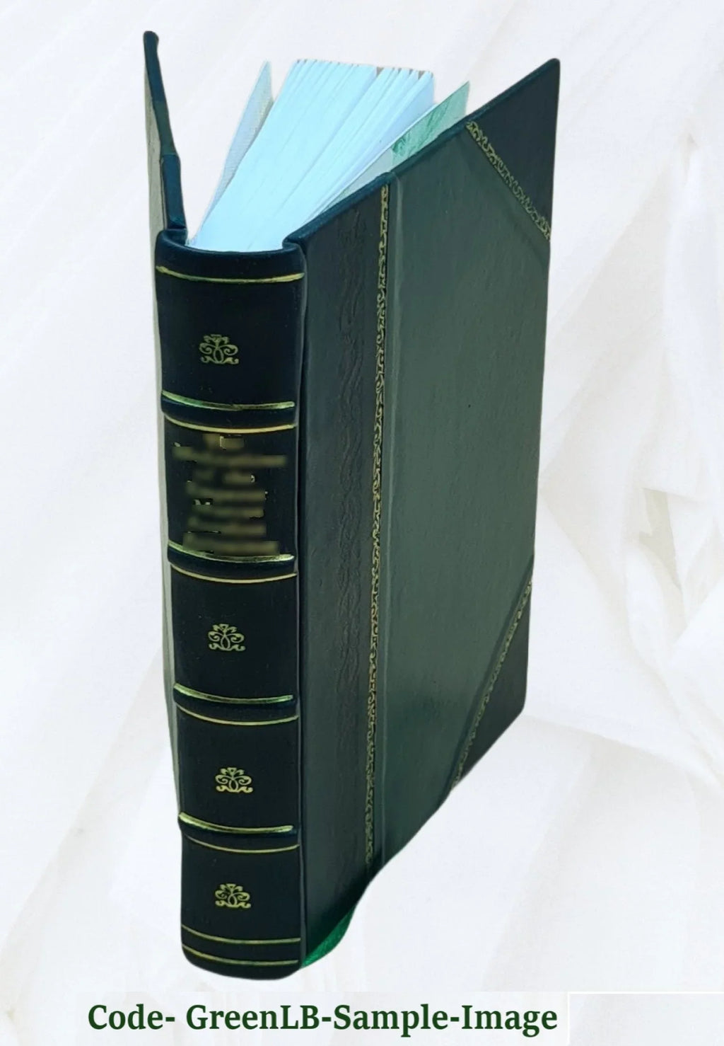 L'Anneau de Sizealomon, par M. de La Sizealle,.... Tome 3 1812 [Leather Bound]