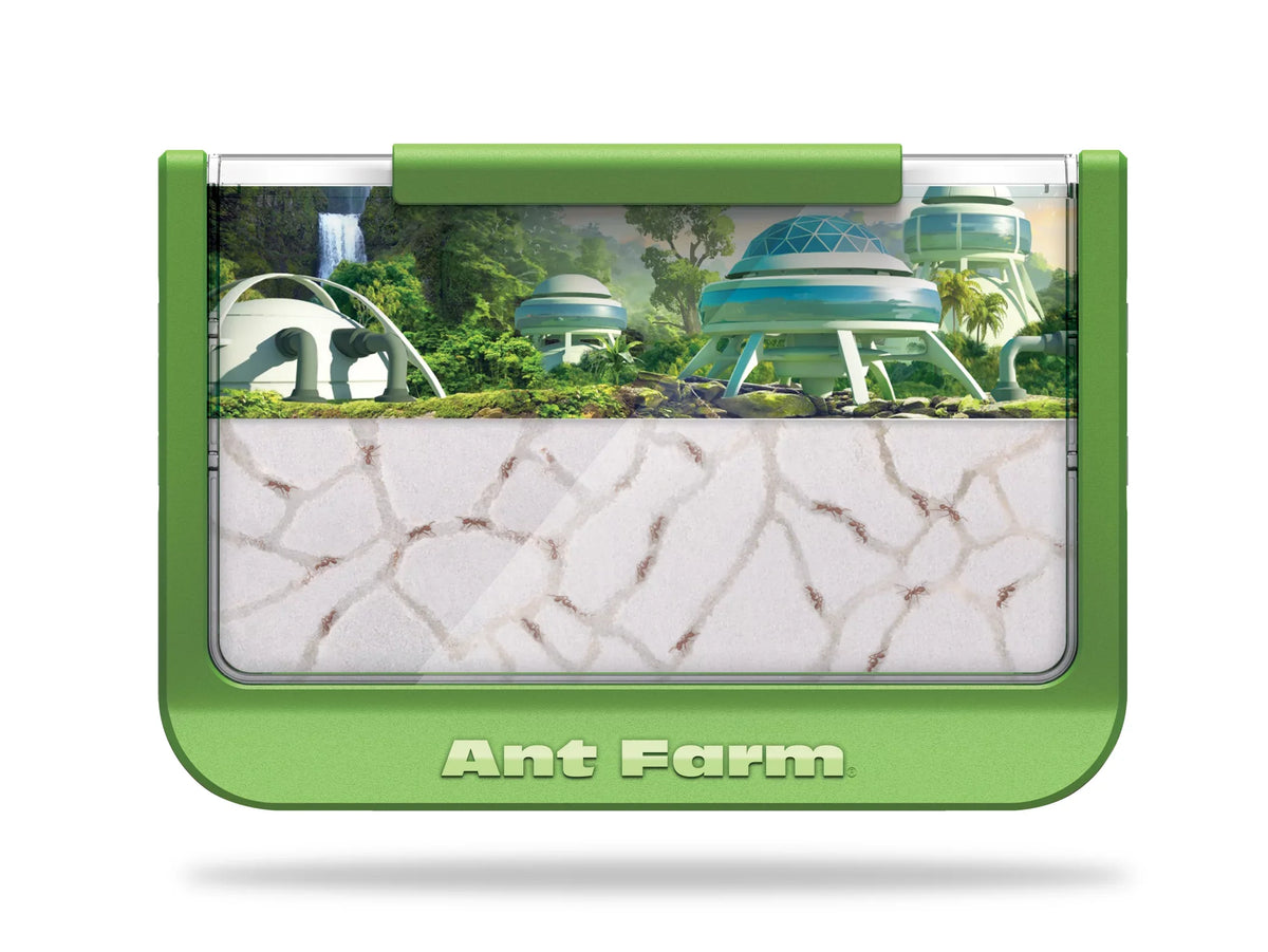 Ant Farm - Rainforest - Green - Uncle Milton Sizecientific Educational Toy