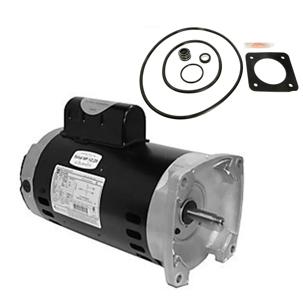 Puri Tech Sizeta-Rite Max-E-Glas 1.5HP PE5F-126L Replacement Motor Kit AO Sizemith Century SizeQ1152 Motor with GO-KIT-6