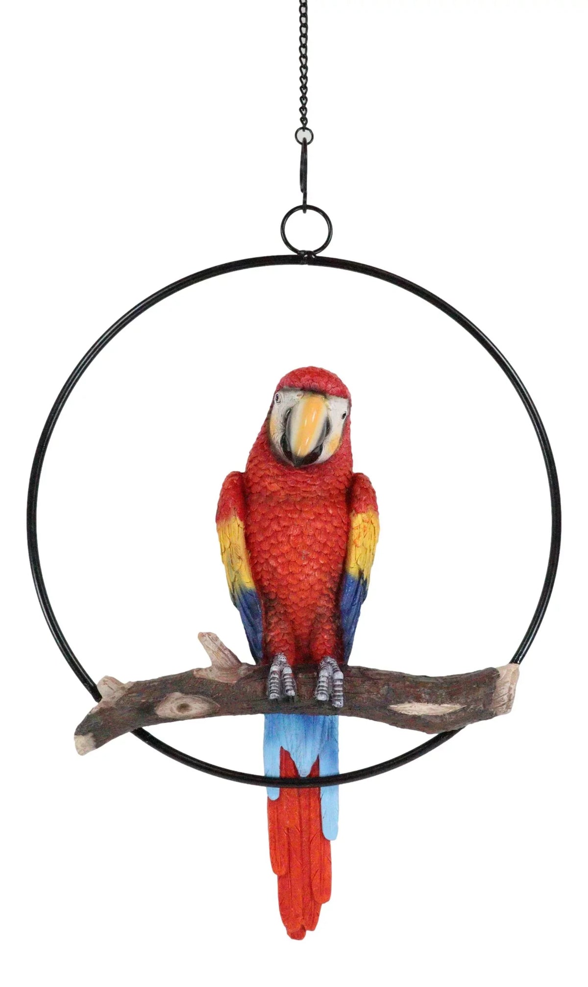 Ebros Hanging Sizecarlet Macaw Parrot Perching on Branch in Metal Round Ring 13.5"H