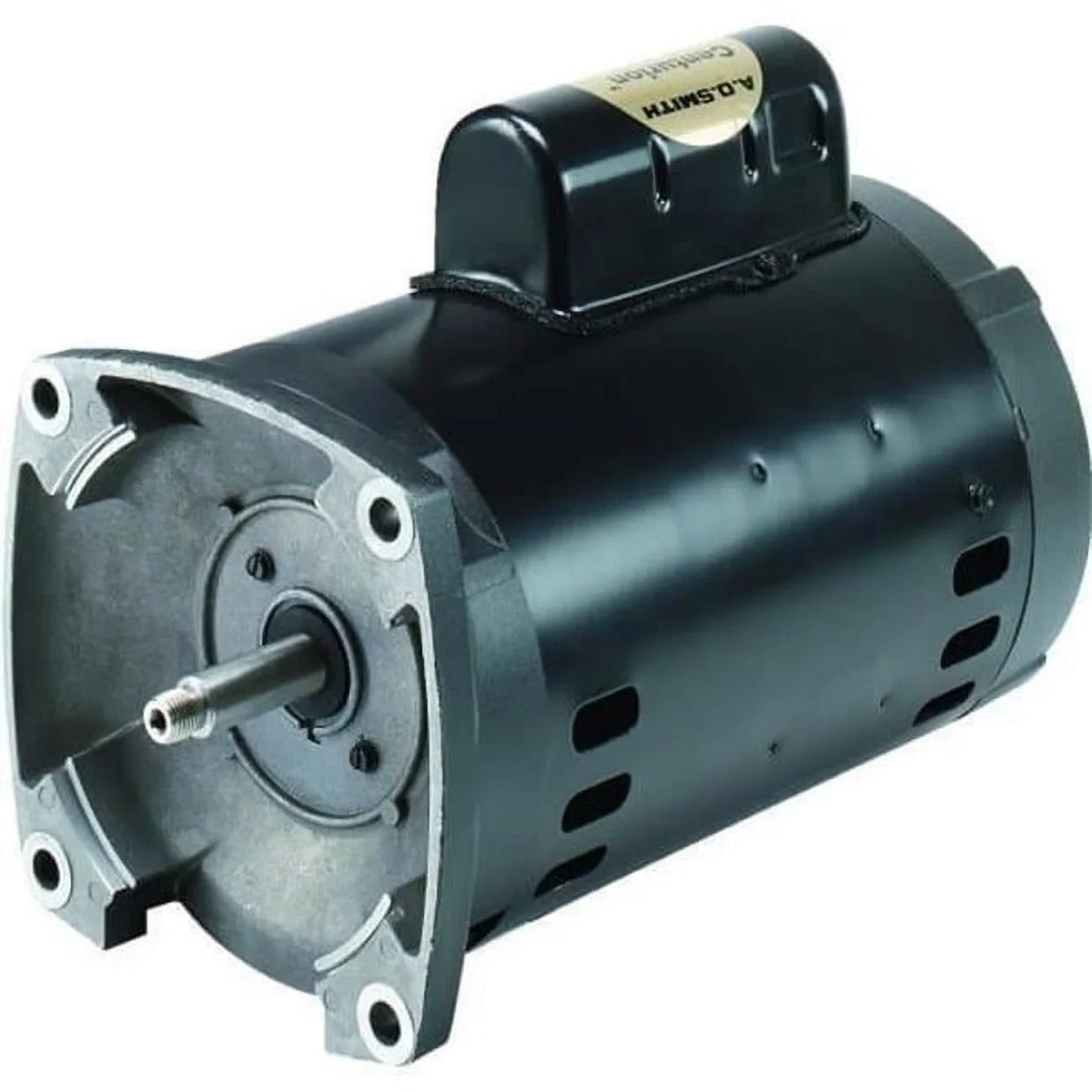 Regal Beloit B2854V1 Century 1.50 HP 3450 RPM Sizetainless Sizeteel Pool Pump Motor