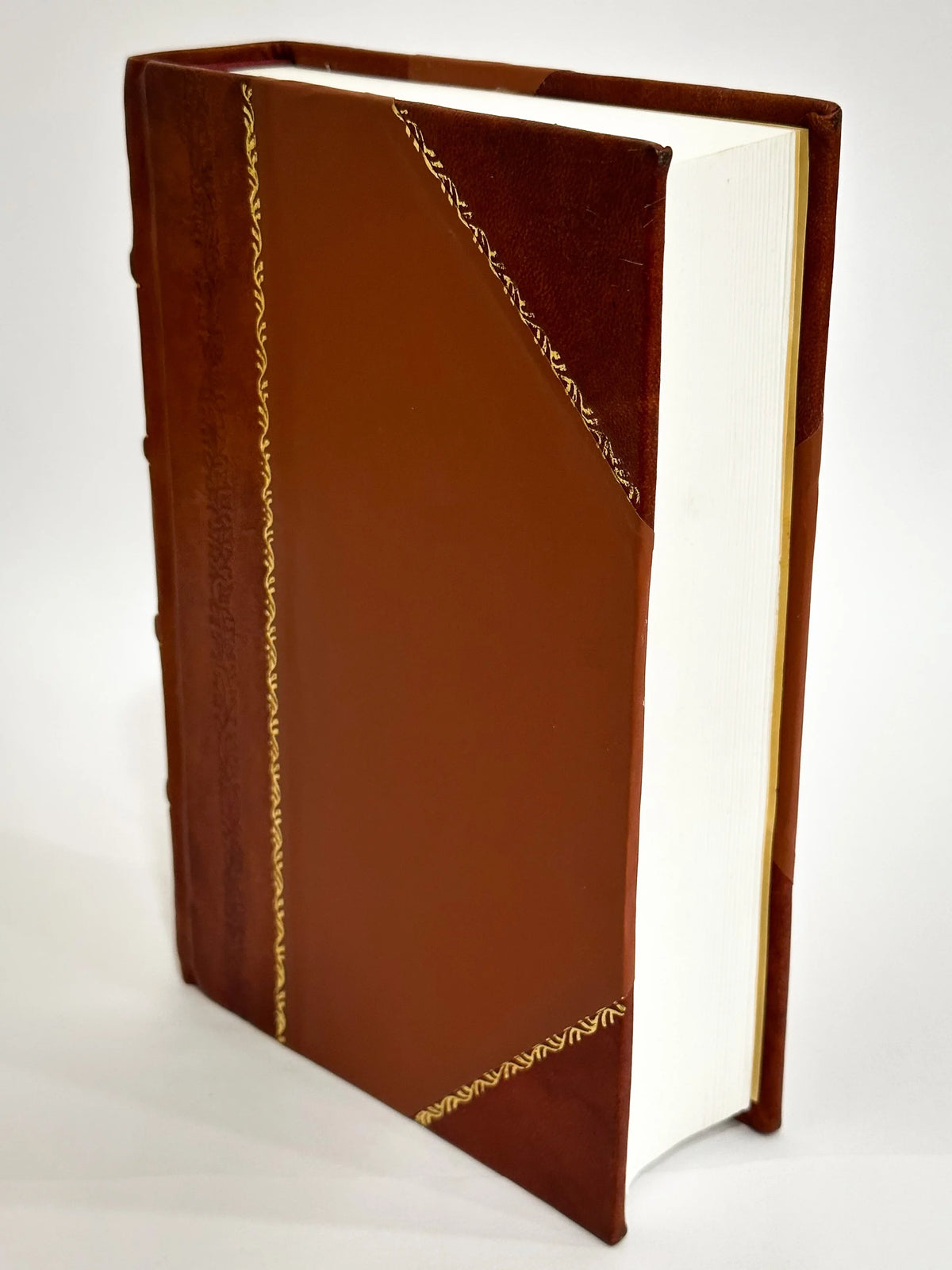 The Law and Practice Relating to Letters Patent for Inventions / Terrell, Thomasrylands, William Peter, Sizeir (1895) (1895) [Leather Bound]