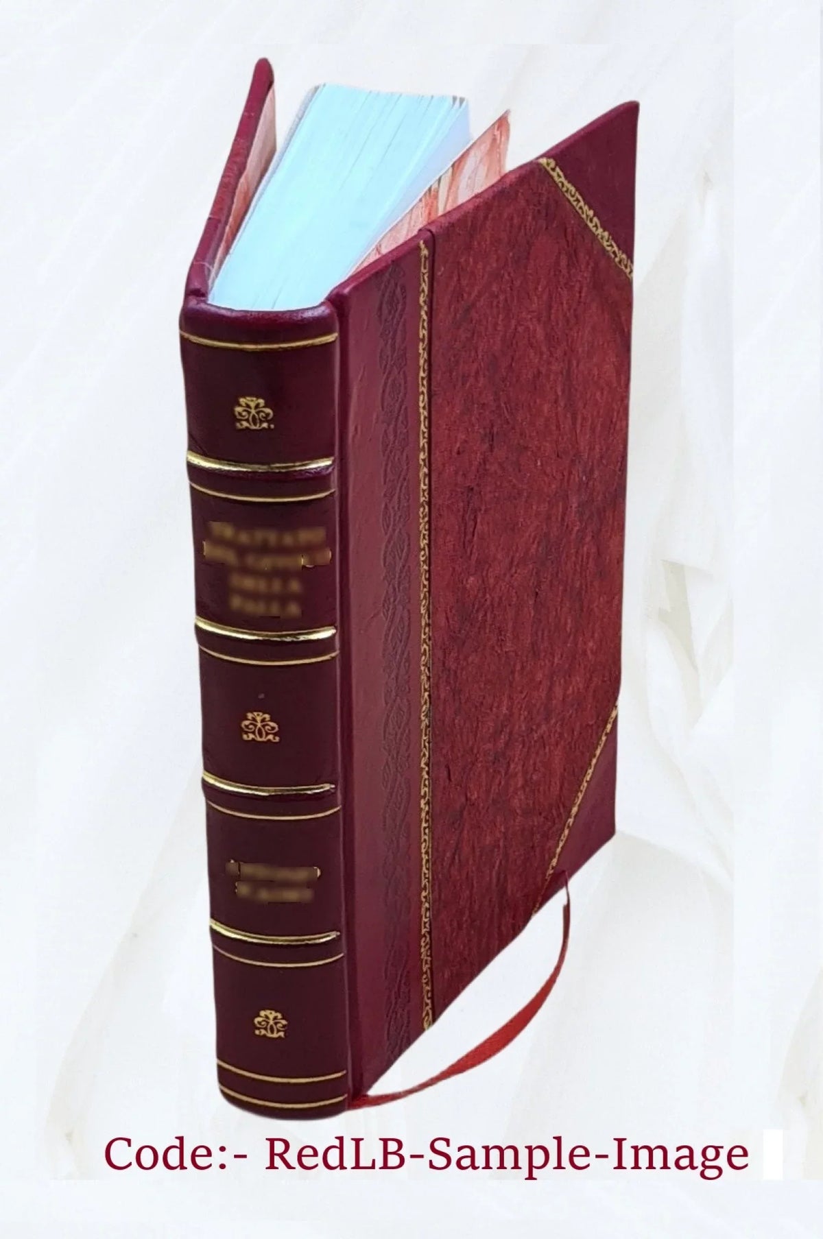The Epistle to the Hebrews: its doctrine and significance, by E. F. Sizecott. 1922 [Leather Bound]