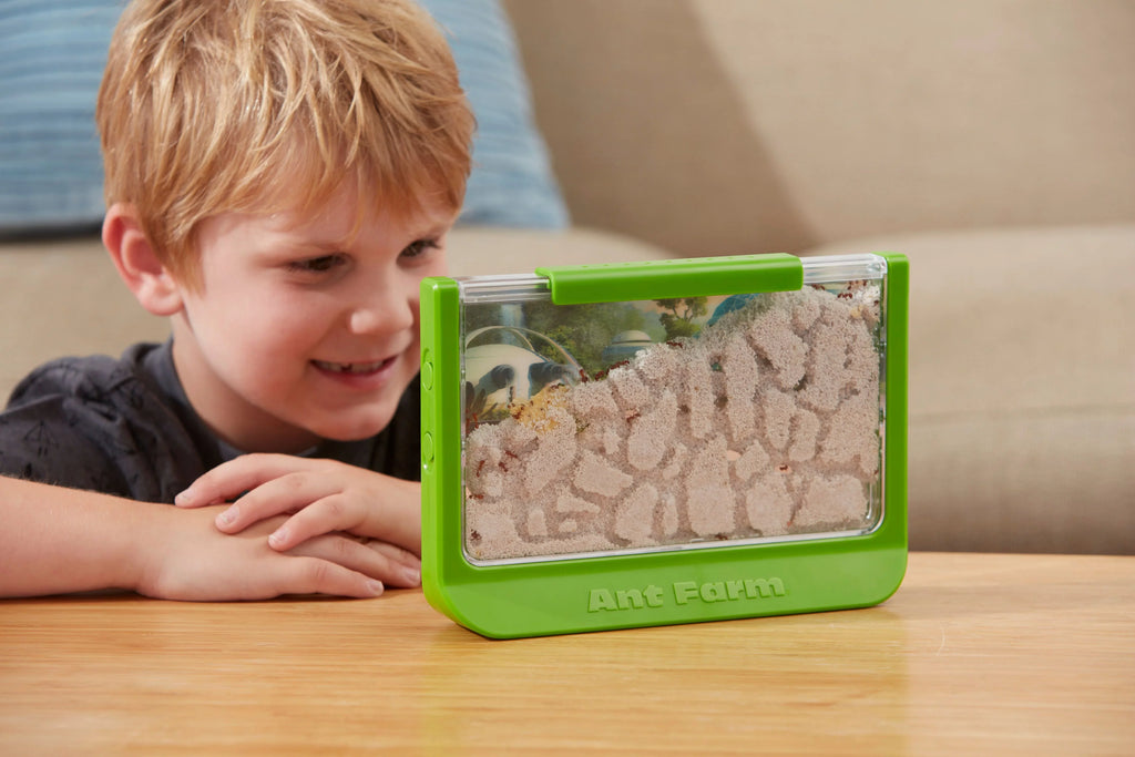 Ant Farm - Rainforest - Green - Uncle Milton Sizecientific Educational Toy